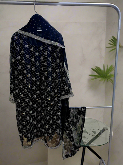 Designer Chiffon 3pc Party Wear